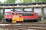 LEW 13387 - DB AG "ASF 62"
08.05.2017 - Leipzig-Engelsdorf, Betriebshof
Tilo Reinfried